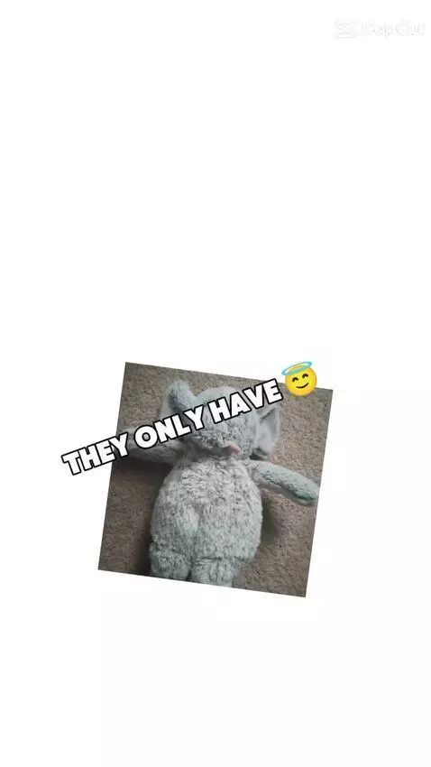 peelyisgood post preview