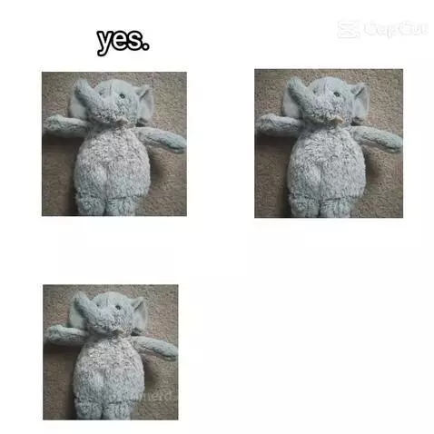 He's gay by peelyisgood