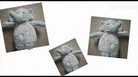 peelyisgood post preview