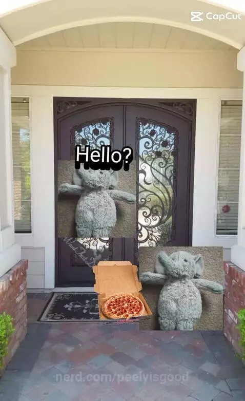 Pizza delivery by peelyisgood