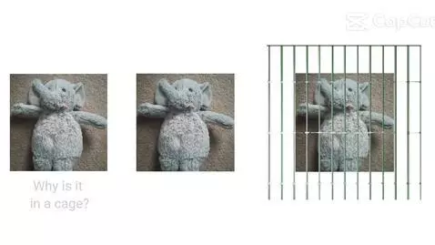 He's in a cage by peelyisgood