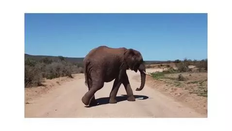 Video by peelyisgood