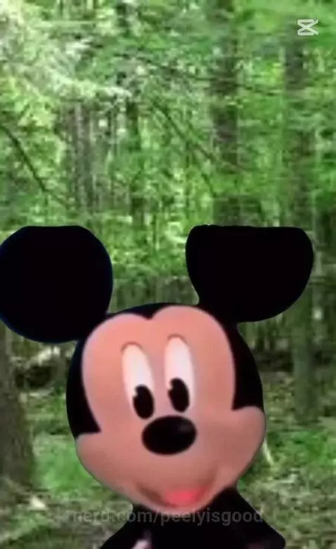 I found mickey by peelyisgood