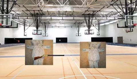 Elephants in the gym by peelyisgood