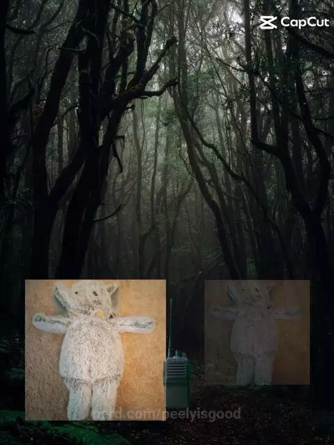 Hide and seek by peelyisgood