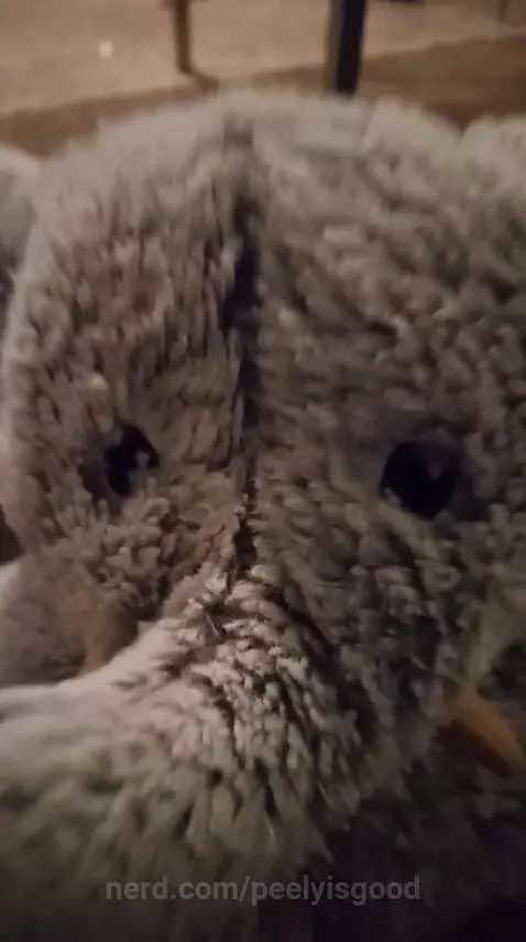 👍👍👍👊👊👊🐸🐸🐸👏👏👏🤯🤯🤯🤜🤜🤜🫣🫣🫣😲😲😲🙁🙁🙁🫤🫤🫤 by peelyisgood