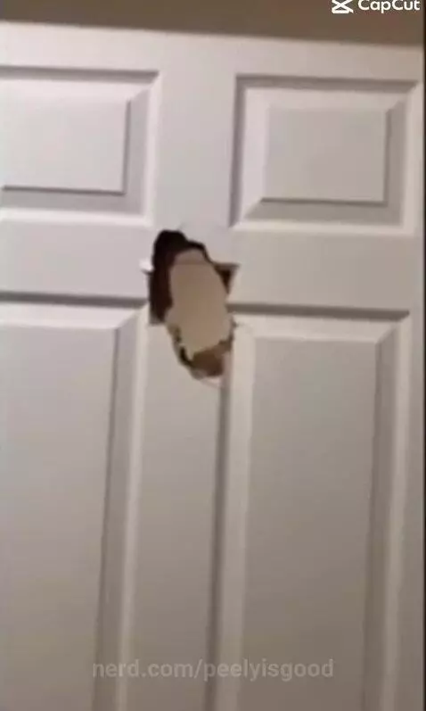 Video by peelyisgood