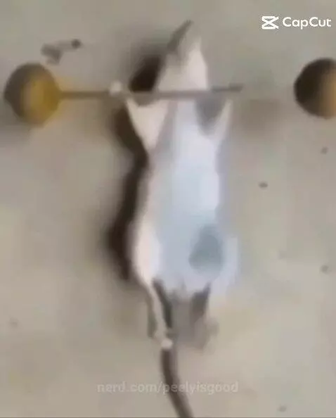 Rare footage by peelyisgood