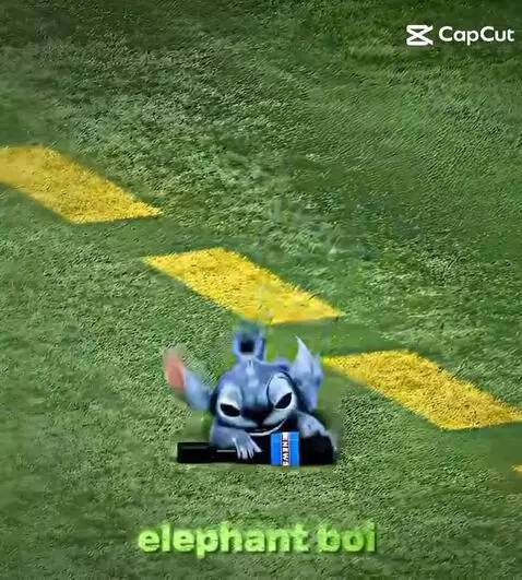 peelyisgood post preview