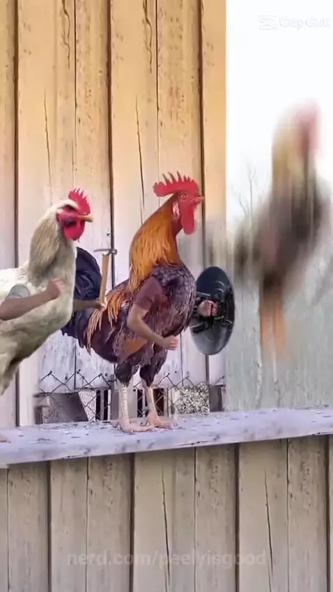 Avengers by peelyisgood