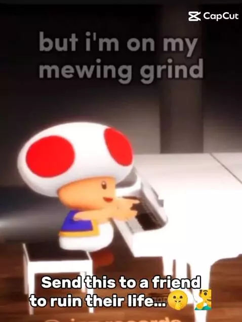 Toad what the hell by peelyisgood