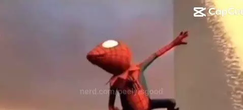 Kermit the frog by peelyisgood