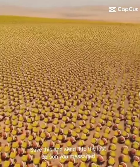 He he gangsta by peelyisgood