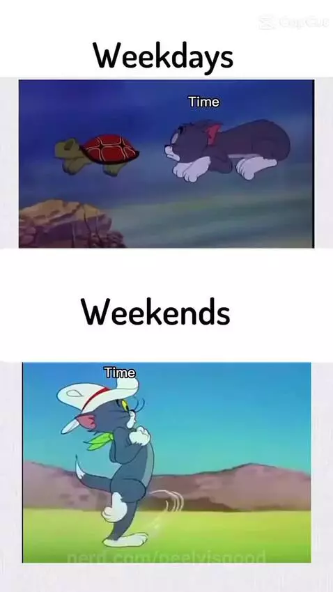 Weekdays vs weekends by peelyisgood
