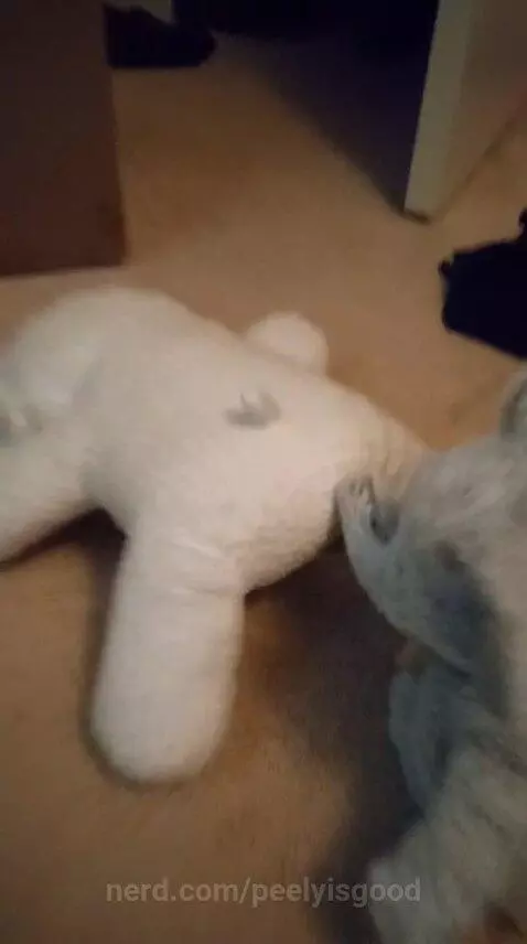 Why 😭😭 by peelyisgood