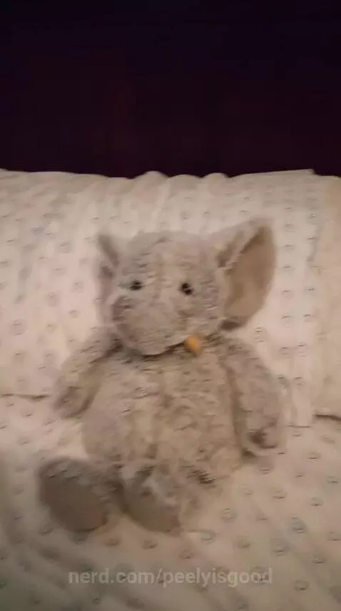 Elephant slap by peelyisgood