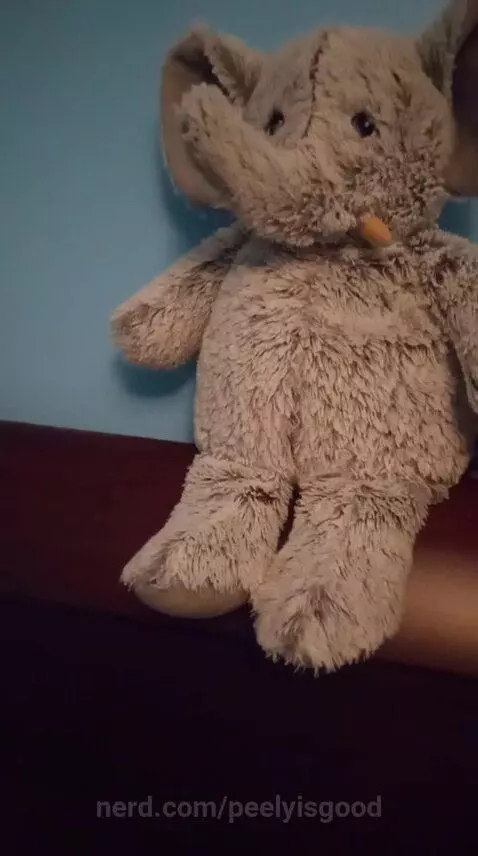 Elephant falls by peelyisgood