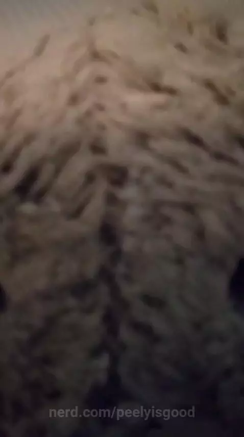 Elephant dances by peelyisgood