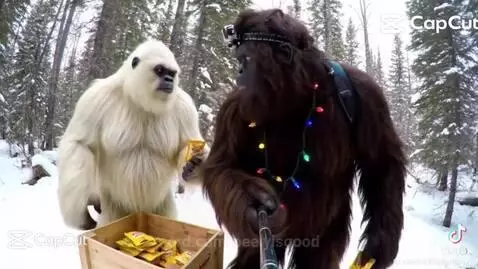 Video by peelyisgood