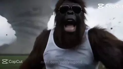 Video by peelyisgood