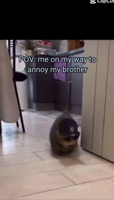 Video by peelyisgood