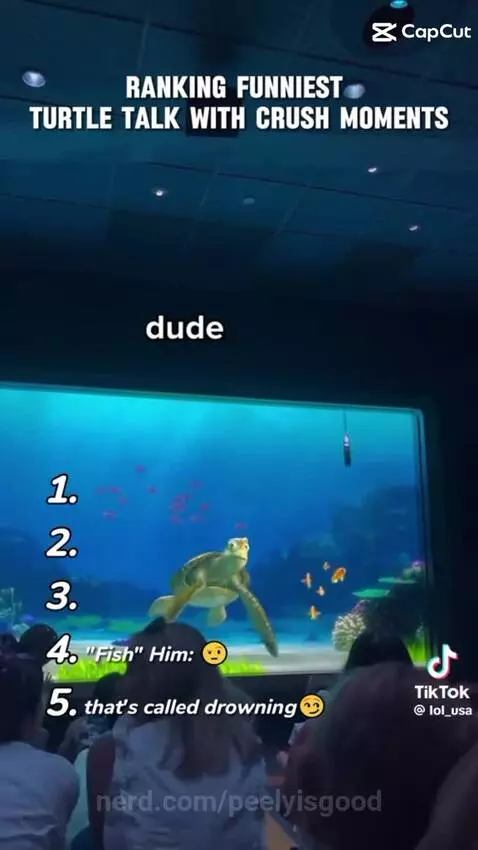 Video by peelyisgood