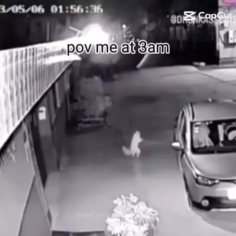 Video by peelyisgood