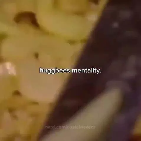 huggbees is on YouTube by costalwavezz