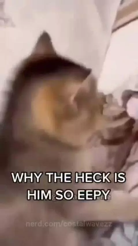 costalwavezz