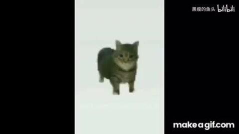 costalwavezz