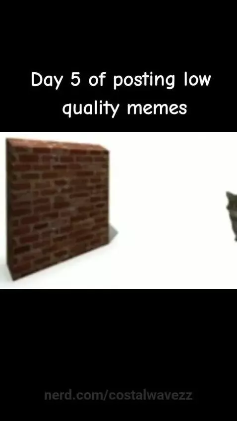 wall oiaoia by costalwavezz