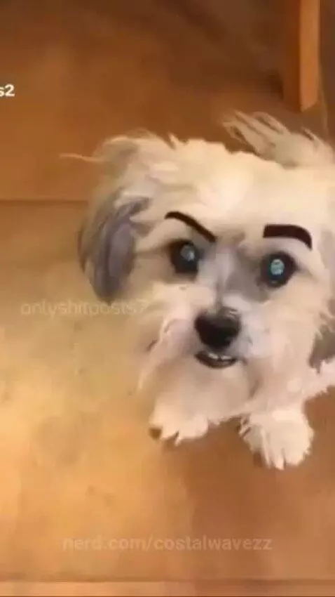 rizz by costalwavezz