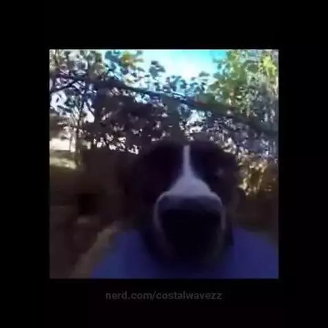 pablo by costalwavezz