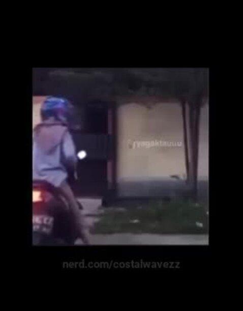 costalwavezz