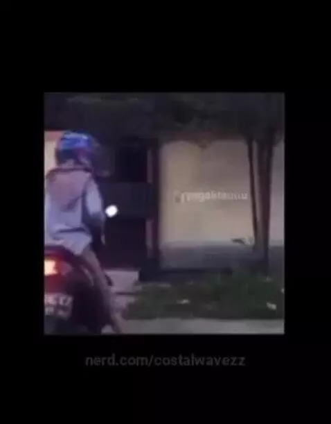 costalwavezz