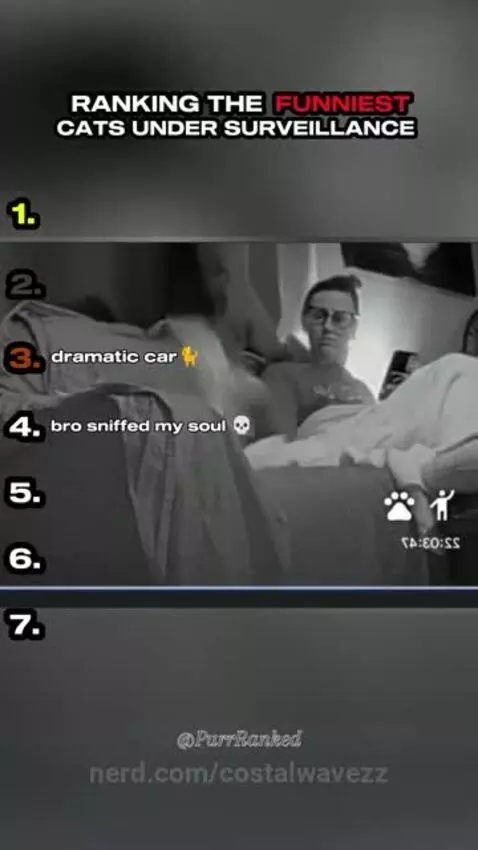 snif by costalwavezz