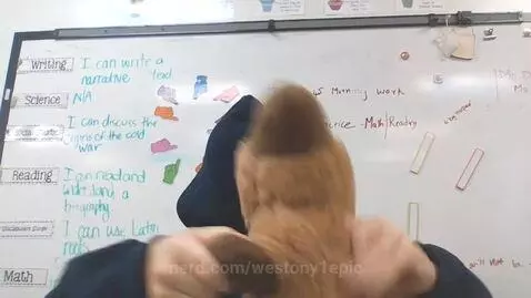 wait they dont capybara by westony1epic