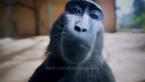 therizzmonkey post preview