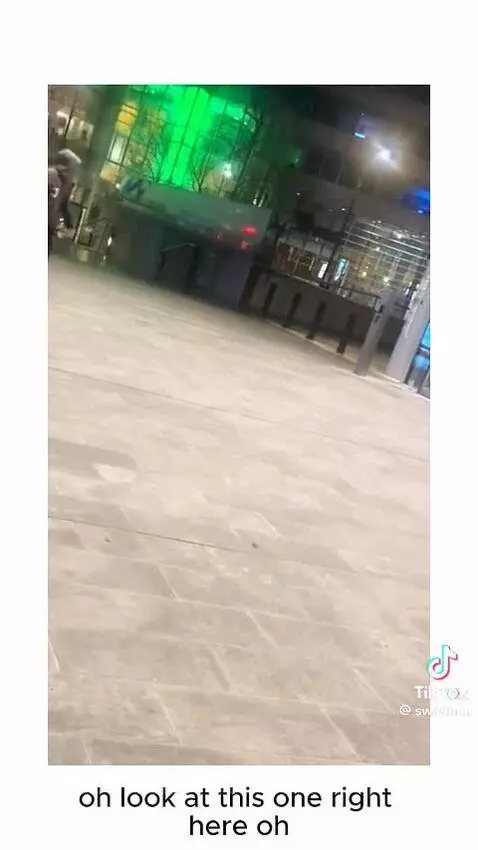 Video by razorratz555nyc