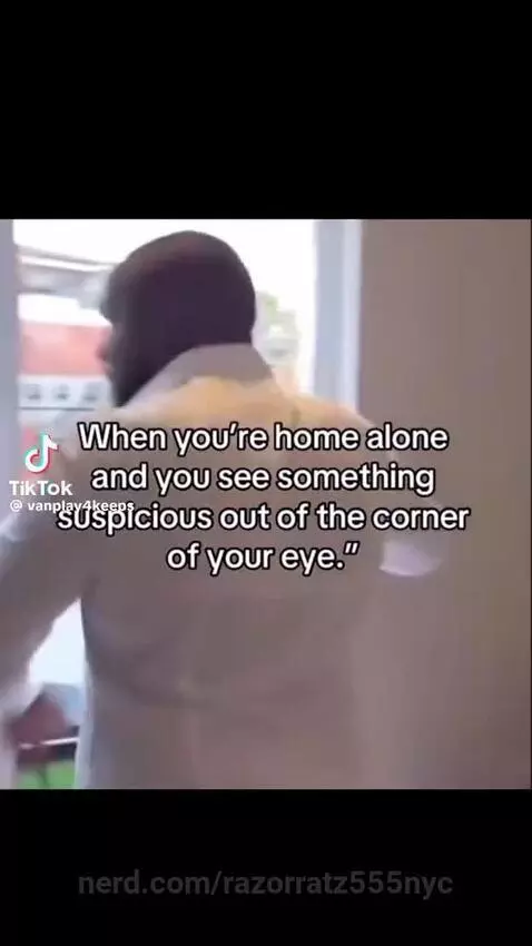 funny, comedy, memes by razorratz555nyc