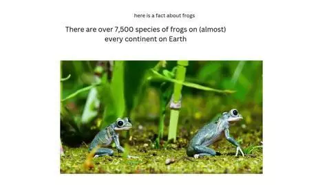 fun fact about frogs by kermit1turtles