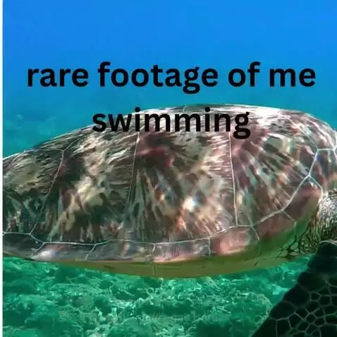 rare video of me swimming by kermit1turtles