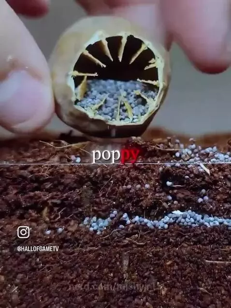 Video by mishyjr15