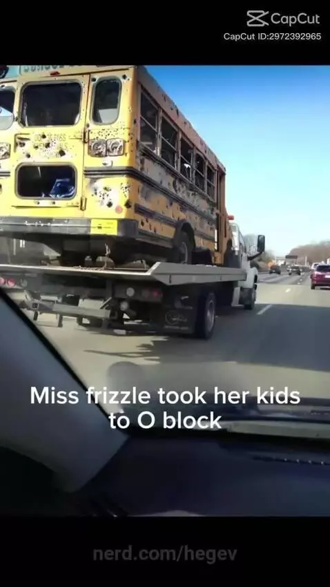 The magic school bus by hegev