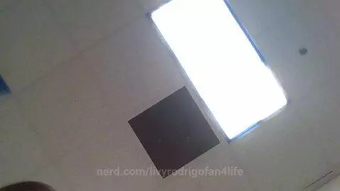 OTTER FLIP by livyrodrigofan4life