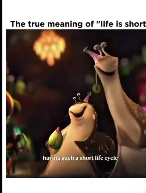 life is short by maseuploads