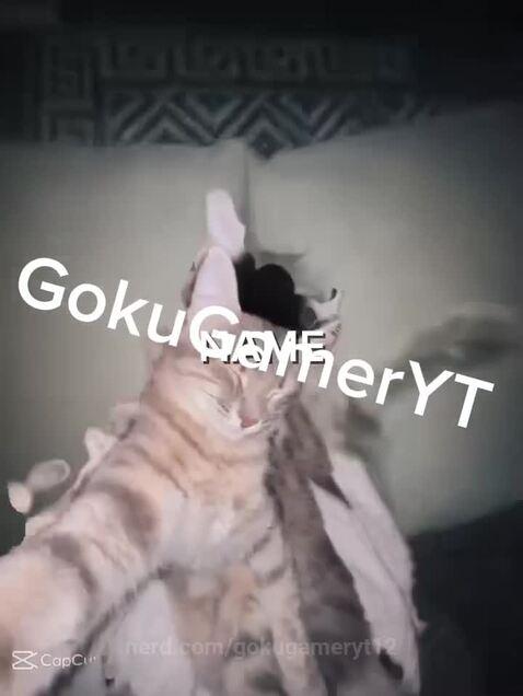 gokugameryt12