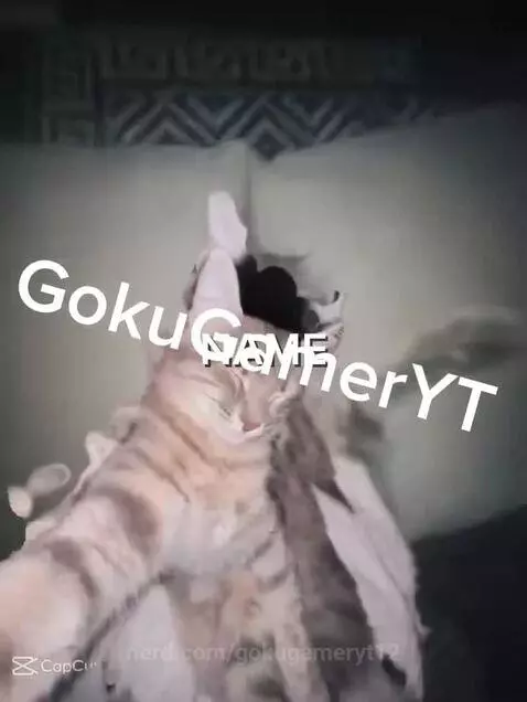 gokugameryt12