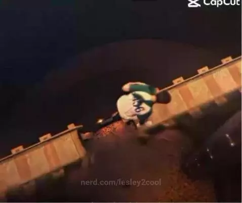 Video by lesley2cool