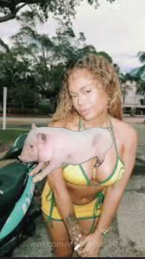 Video by vincenttay10